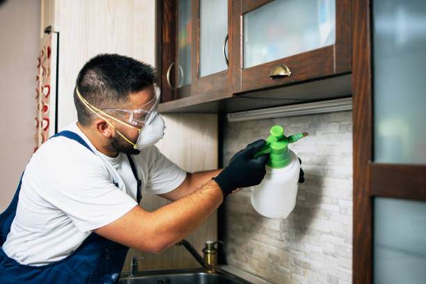 Best Best Pest Control Companies  in Goldens Bridge, NY