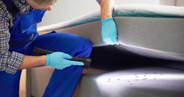 Pest Control for Restaurants in Goldens Bridge, NY