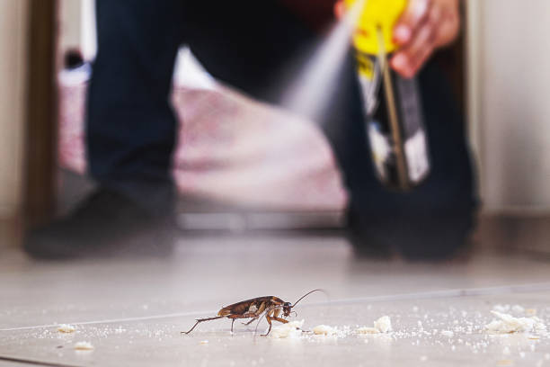 Best Wildlife Control Services  in Goldens Bridge, NY